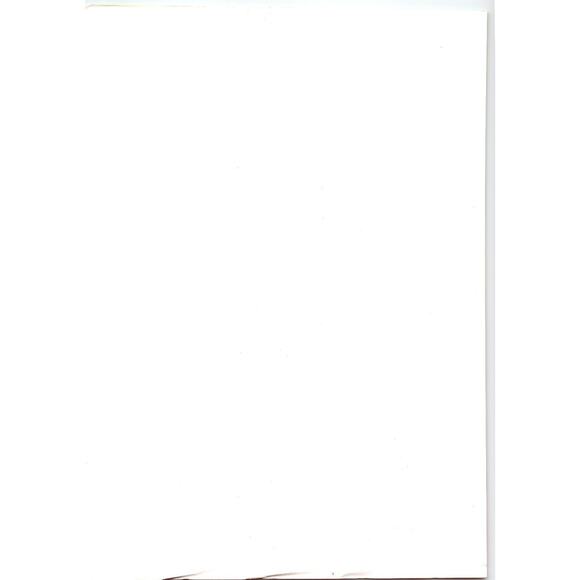 Lucky Gold 1991 Vintage Arcade Game Flyer Amusement Machine Ephemera - Picture 2 of 2